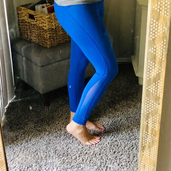 Electric Blue Yoga Pants